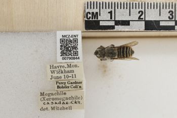 Media type: image;   Entomology 790844 Aspect: Labels
